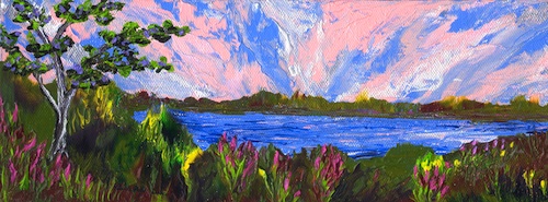 Flowering Shores web rdcd