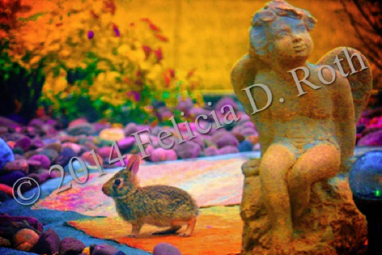 Angel Bunny IMG_0488_v8 wkm