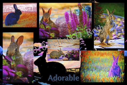 Adorable Bunnies Collage by Felicia D. Roth wtmk rdcd