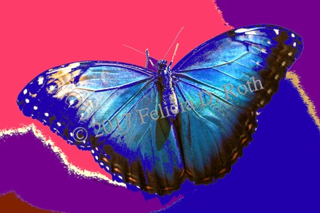 Blue Butterfly Abstract Photography by Felicia Roth wtmk rdcd