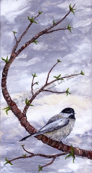 Chickadee by Felicia D. Roth 2012