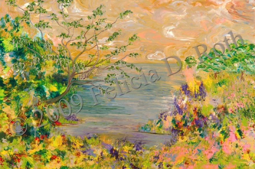 Dreamy Cove by Felicia D. Roth