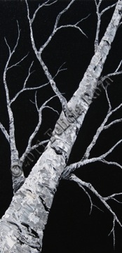 tree at midnight thmb wtmk