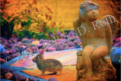 "Angel Bunny" Art Photography Print by Felicia D. Roth