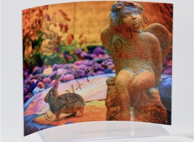 "Angel Bunny" Metal Art Photography Print by Felicia D. Roth