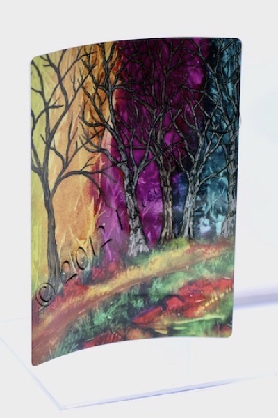 "Illuminated Forest" Metal Art print by Felicia D. Roth 