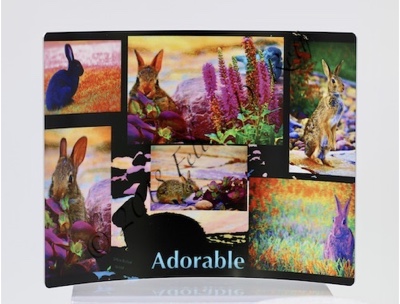 "Bunny Collage" Metal Art Photography Print by Felicia D. Roth