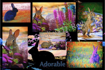 "Adorable Bunnies Collage" Art Photography Print by Felicia D. Roth