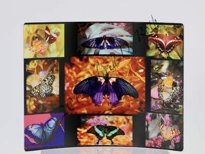 "Butterfly Collage" Metal Art Photography Print by Felicia D. Roth
