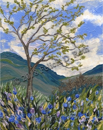 "Carmel Valley Wildflowers" by Felicia D. Roth