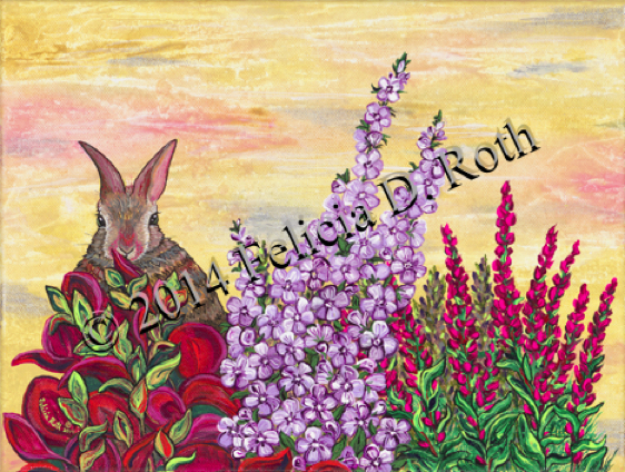 baby bunnies delight 3Oct wtmk