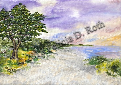 Monterey Dream by Felicia D. Roth 2018